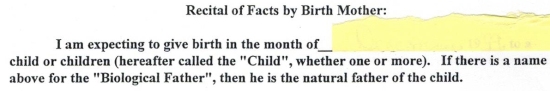 Birth mother agreement.5